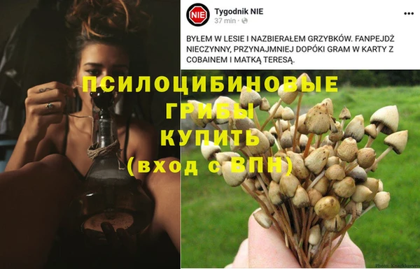 альфа пвп Ельня