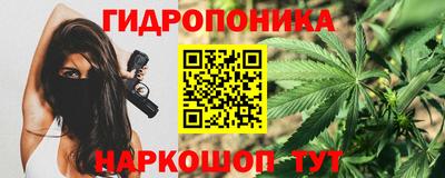 СК Гусев