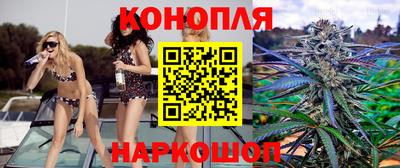 a pvp Гагарин