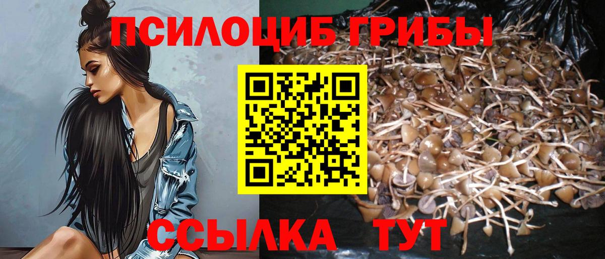 Галлюциногенные грибы ЛСД Зеленокумск
