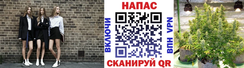 Бошки марихуана гибрид  как найти наркотики  Зеленокумск 